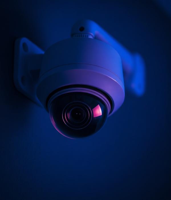 SECURITY CAMERAS